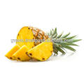Fresh pineapples best price from Vietnam/ canned pineapple 2017